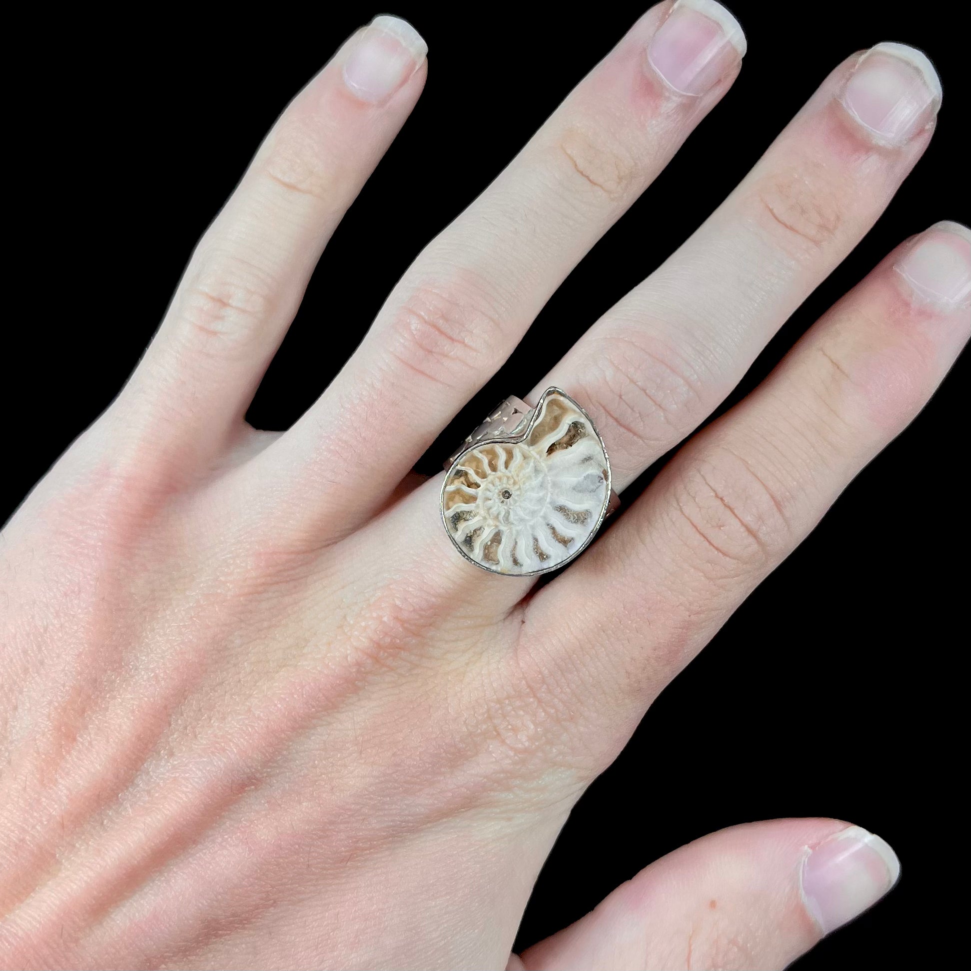 Oeps gegevens ambitie Unisex Sterling Silver Ammonite Fossil Ring | Burton's – Burton's Gems and  Opals
