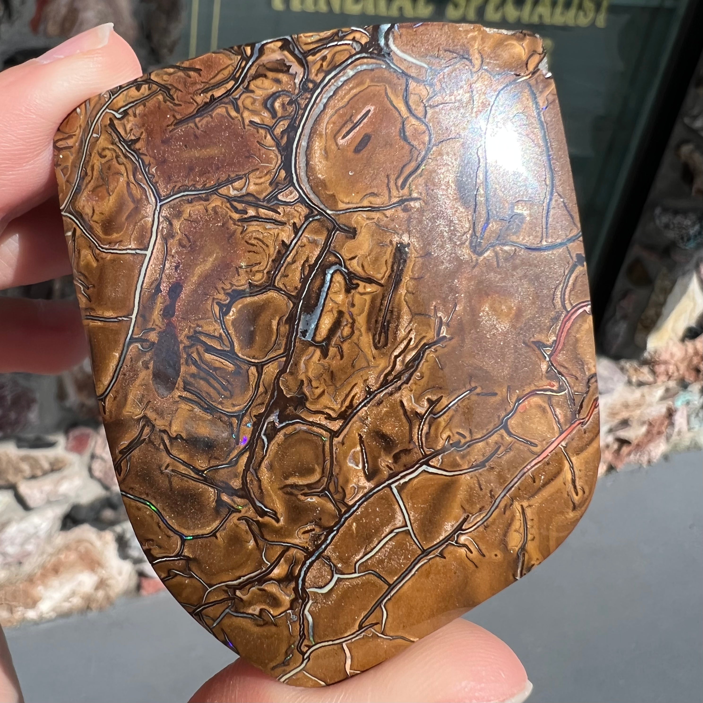 Koroit Boulder Opal Specimen