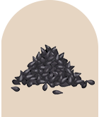 Black Seed Extract