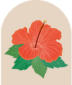 Red Hibiscus