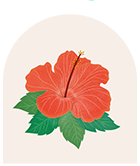 Red Hibiscus Flower