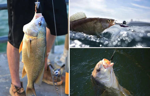 Vara de Pesca Premium Ultra Fishing - A mais forte do mundo