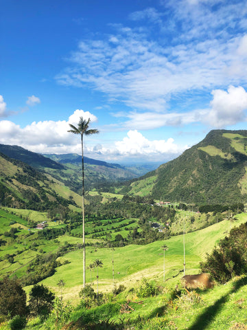 The bright and beautiful landscape of Colombia. Green vegetation covers the mountains and hills. The sky is clear, bright and blue.