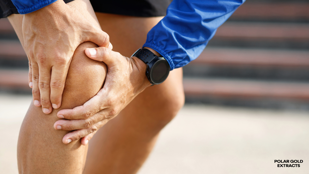 Knee Pain