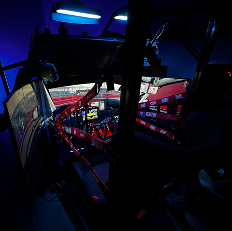 Immersive Racing Simulator