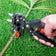 Garden Grafting Tool