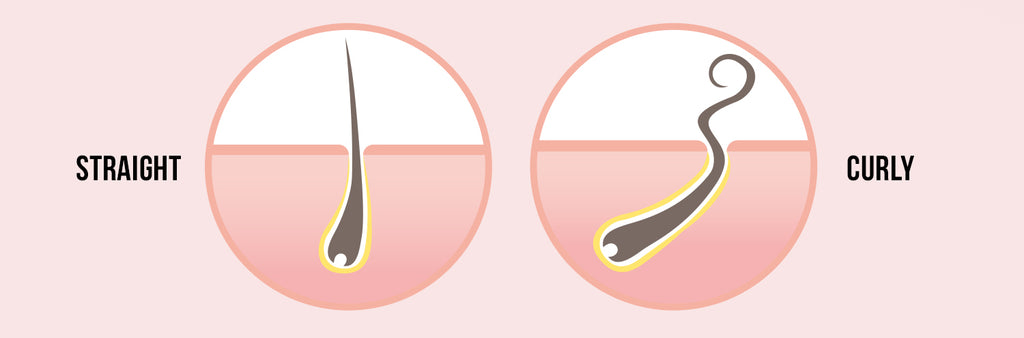 straight vs curly hair strand