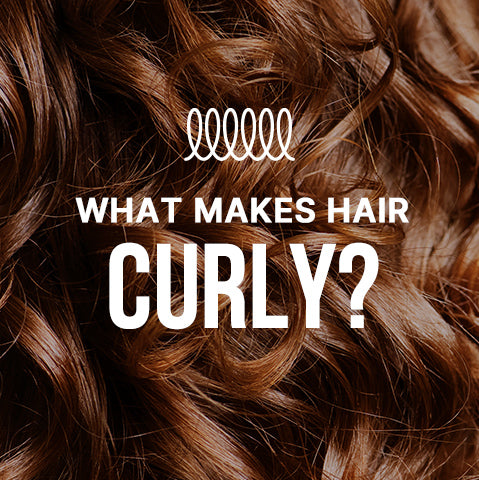 what makes hair curly?