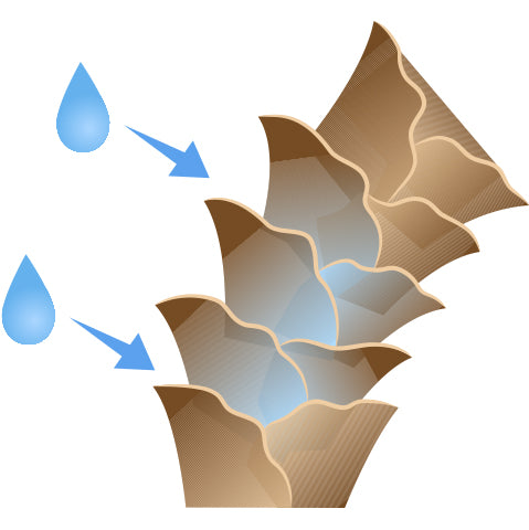 Frizzy hair is caused by a lifted cuticle