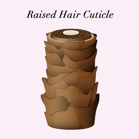 raised hair cuticle