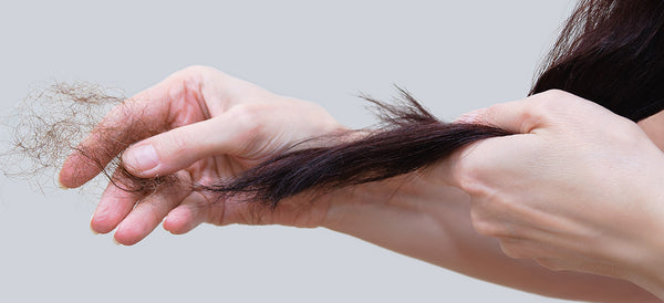 hand touching the ends of shedding hair