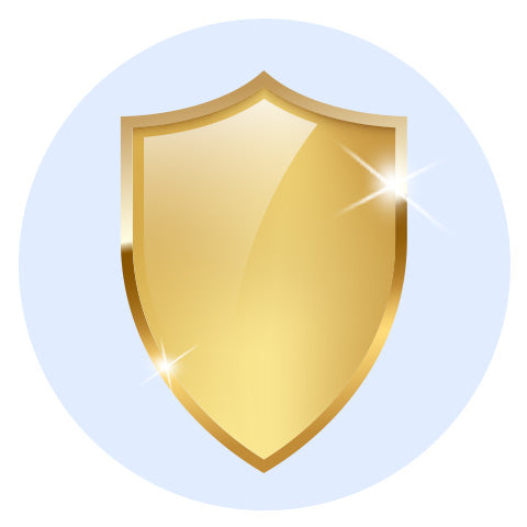 icon of a golden shield for protection