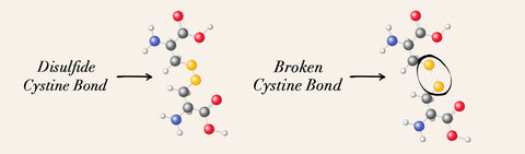 cystine bonds