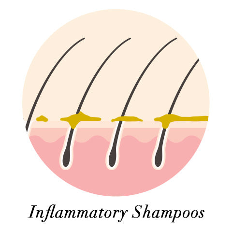 inflammatory shampoo effects on the hair strand