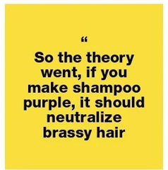 “So the theory went, if you make shampoo purple, it should neutralize brassy hair.”