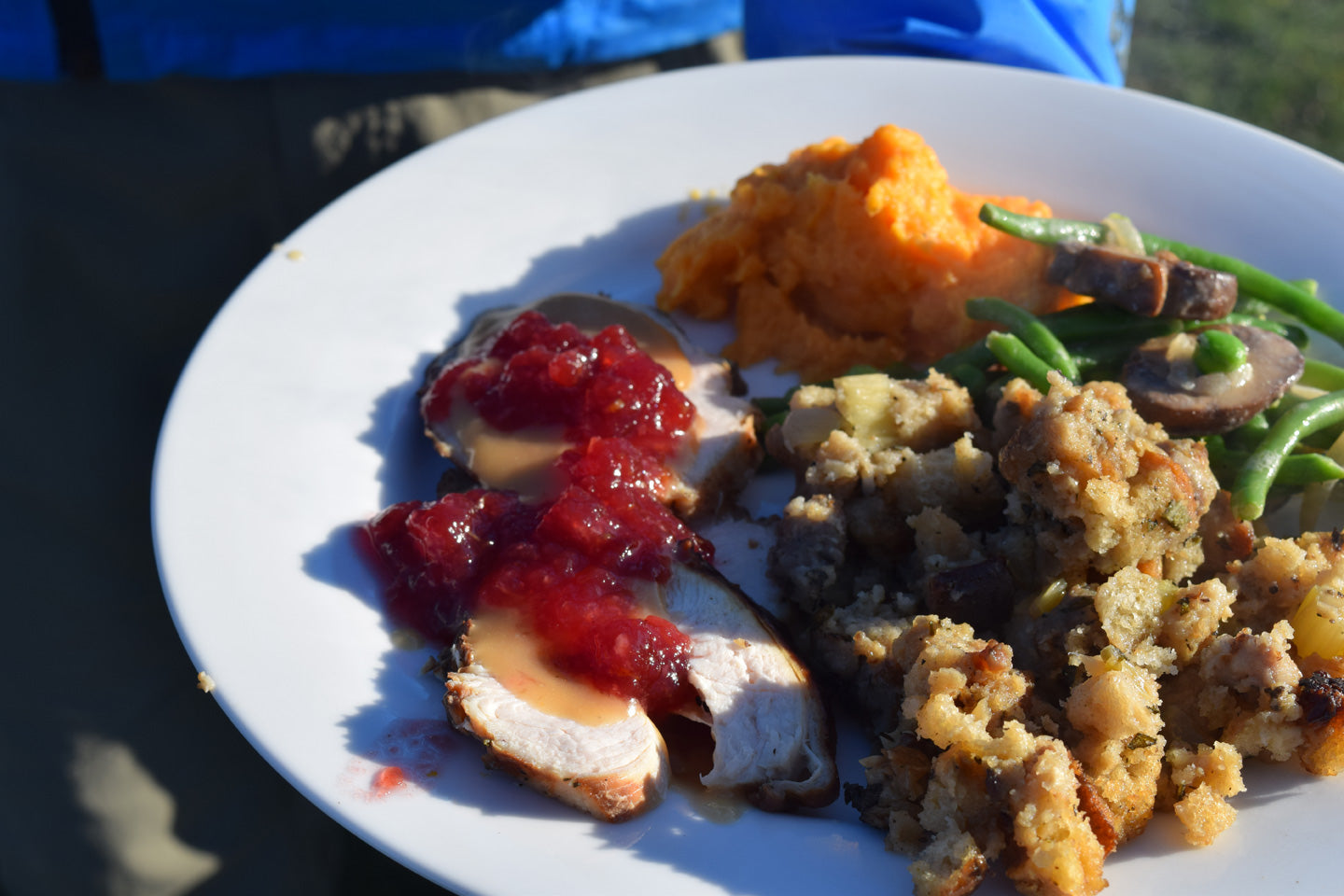 Thanksgiving food on plate