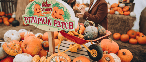 Pumpkin Patch events at Avon Valley Adventure Park October half term events bristol