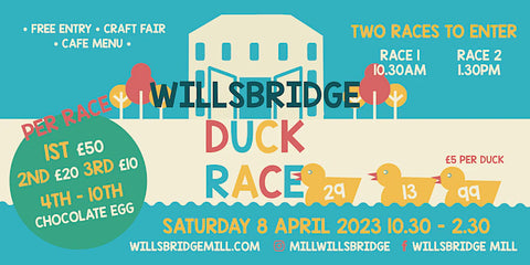Willsbridge Mill Duck Race