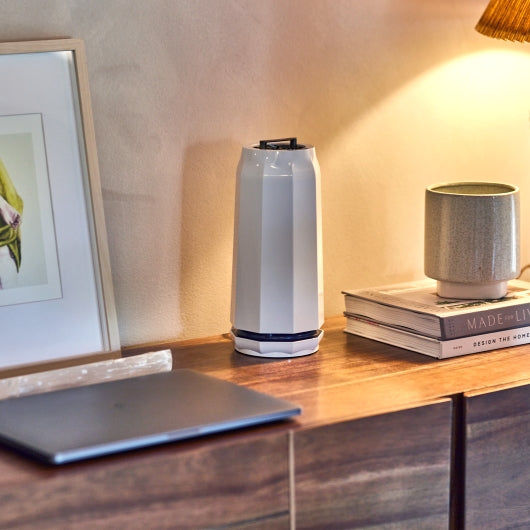  The best air purifier for living room