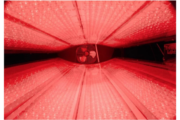 Trifecta Red Light Therapy Bed