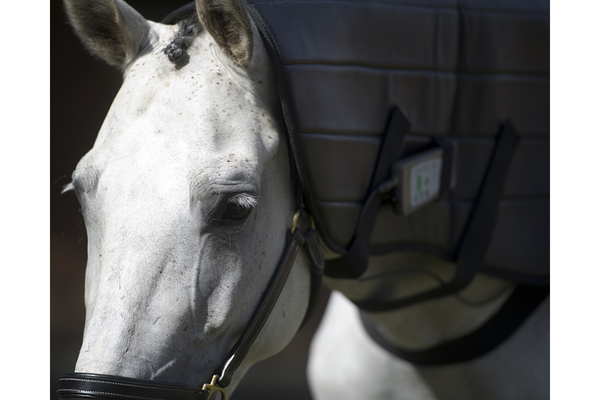 OMI's Professional Equine PEMF Machine Blanket