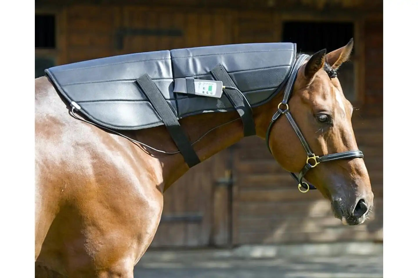 OMI PEMF Horse Neck Wrap