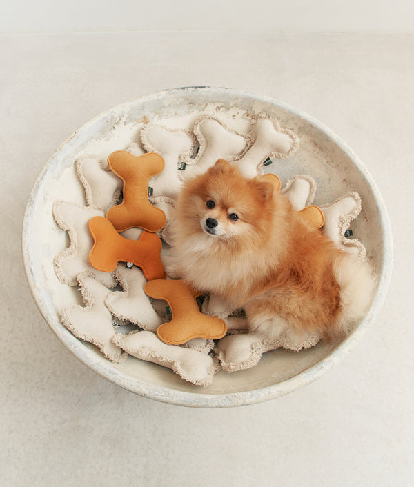 Bone White Ceramic Dog Bowl, Bole – Cafide Pets