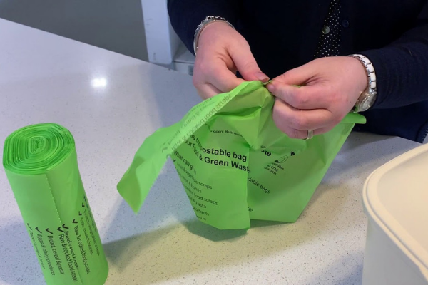 Do You Really Need Compostable Bags for Your Food Scraps? | Wirecutter