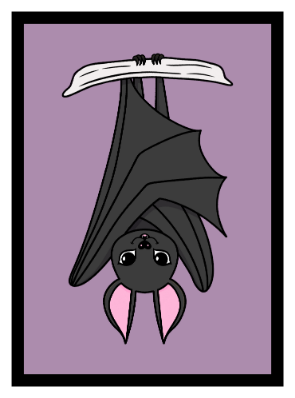 Nocturnal Creatures Bat