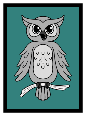 Nocturnal Creatures Owl