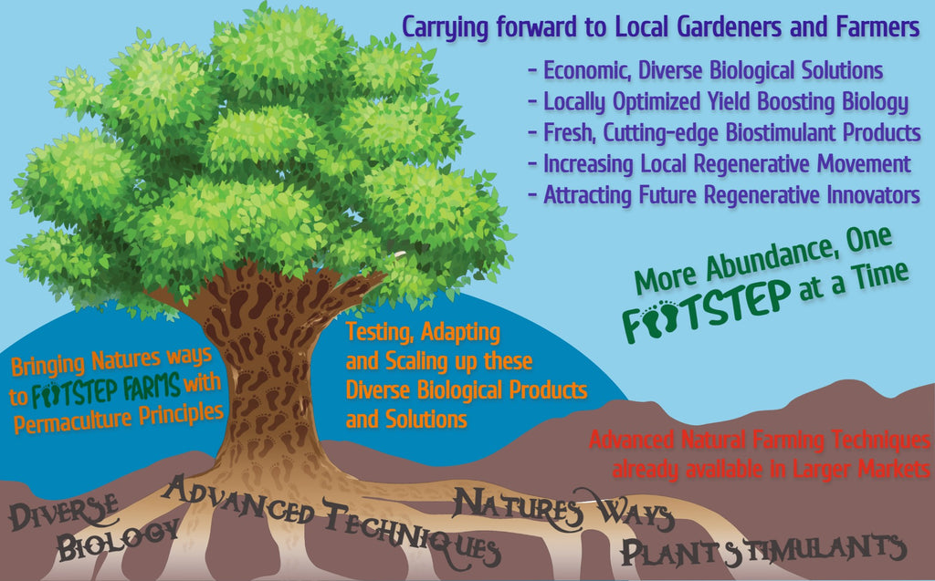 The business model of Footstep Farms is based on how Nature works.
