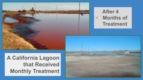 Before and After of California Lagoon