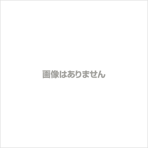 シヤチハタ ネーム６ 既製 宮崎 XL-6 1876 ﾐﾔｻﾞｷ
