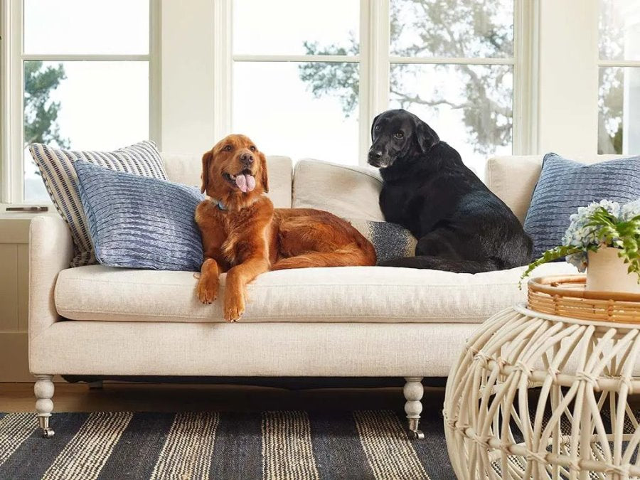 Stain- resistant, pet friendly sofa upholstered with performance fabric