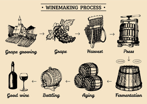 ワインの生産プロセス