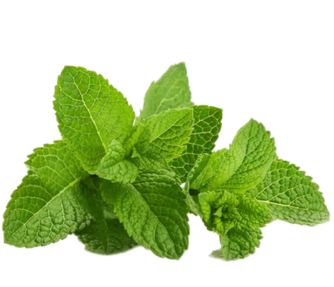 Peppermint Leaf