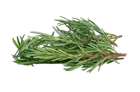 Rosemary