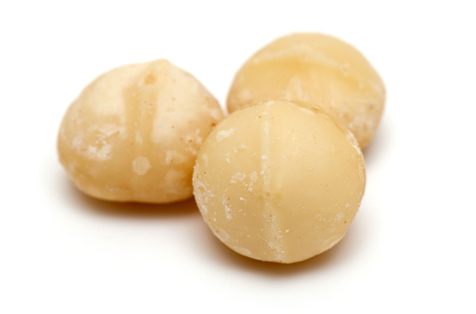Organic Sprouted Macadamia Nuts