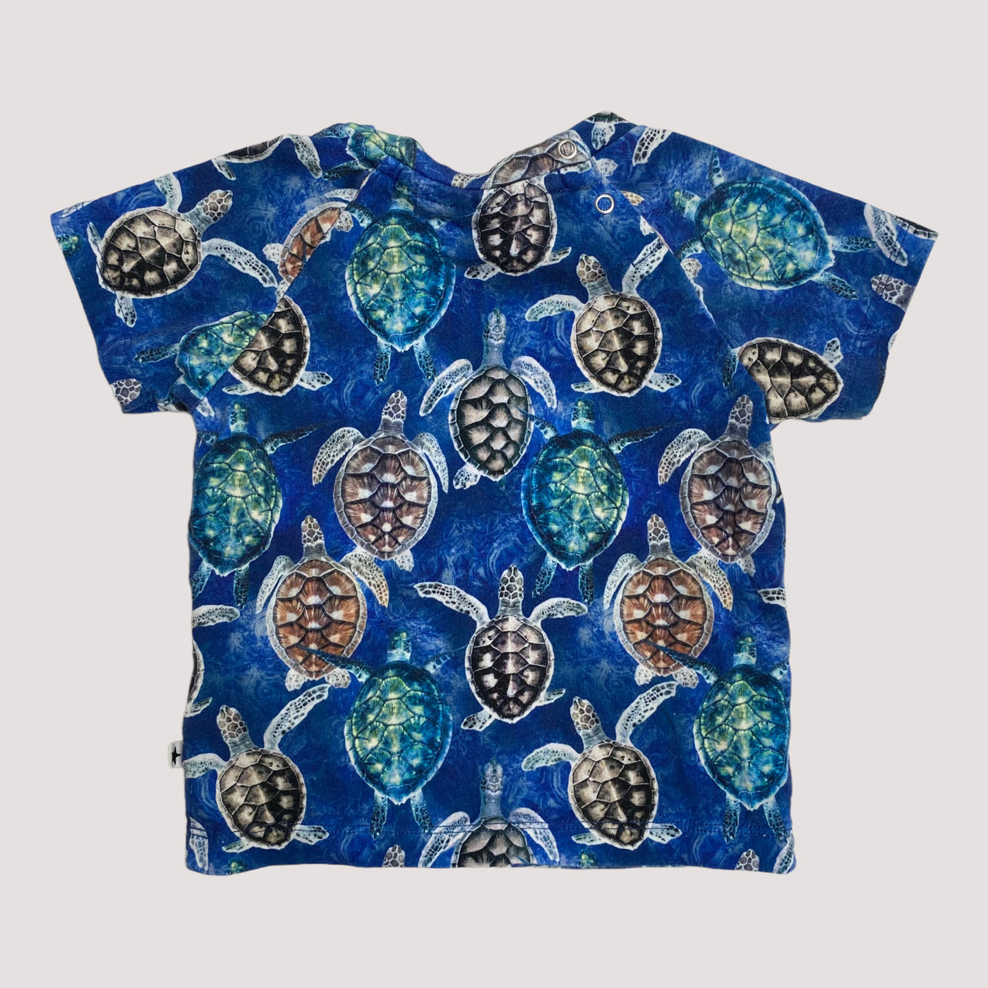 t-shirt, mini turtles | 74cm