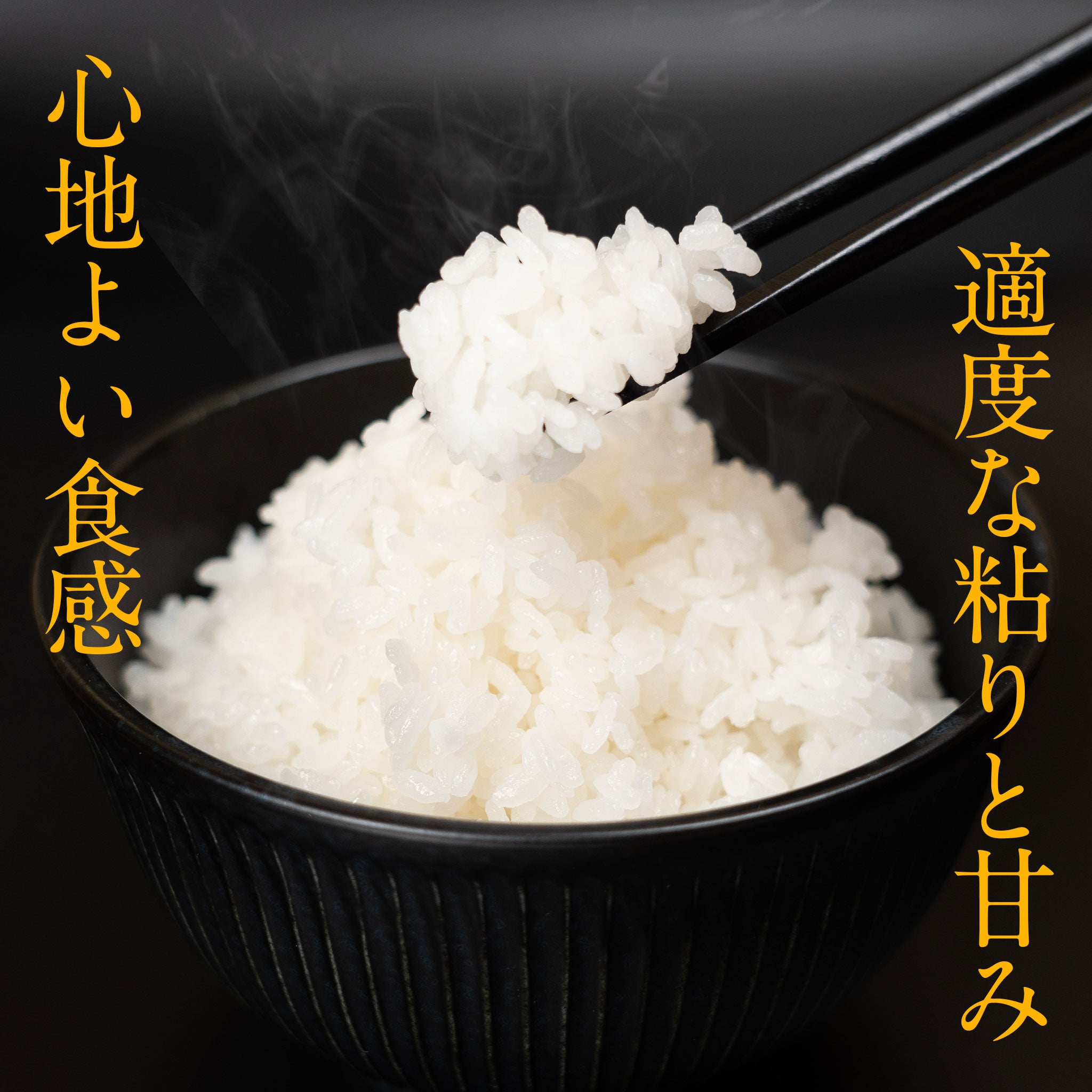 令和5年度 千葉県産 長狭米こしひかり 2キロ