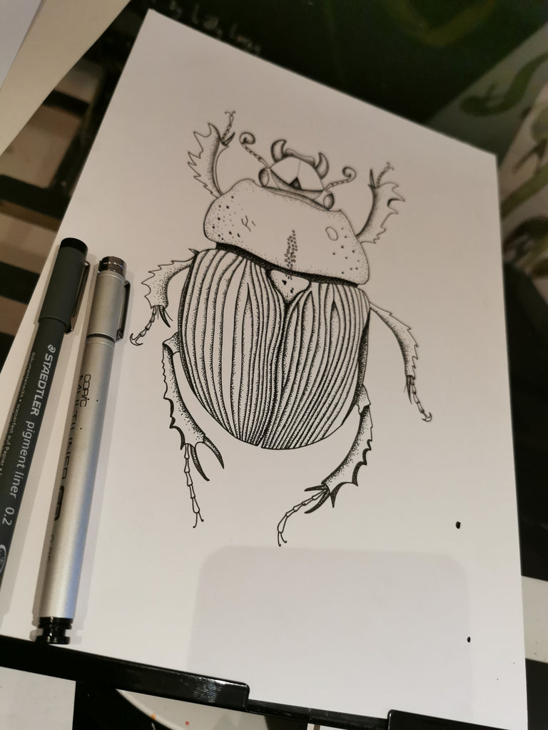 beetle art