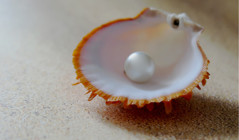 Oyster generated Pearl - CherishBox