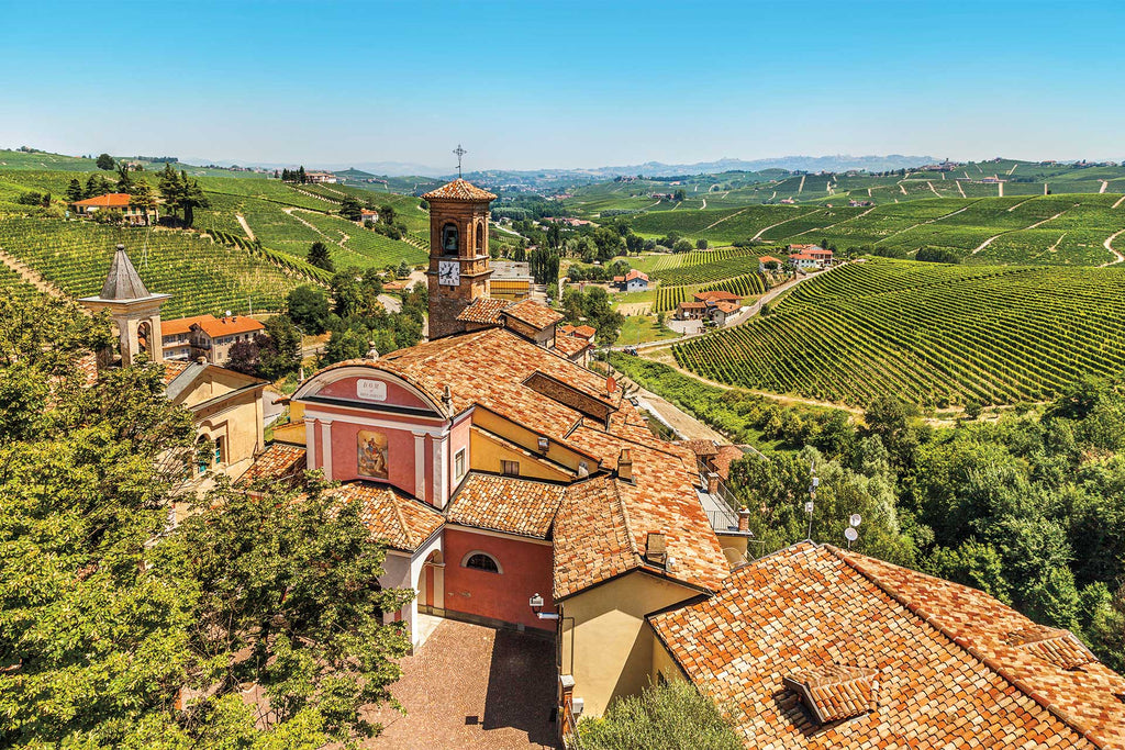 village de barolo piémont vigne viticulture