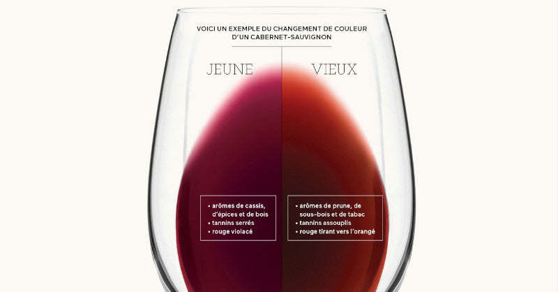 comparison-color-dress-young-wine-old-red-wine