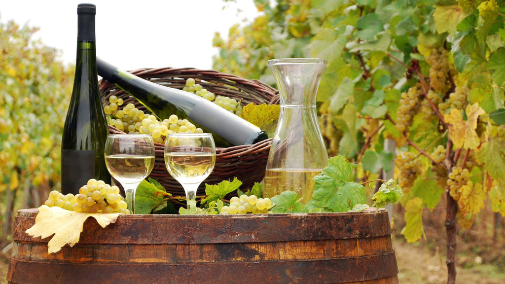 7 essential dry white wines by flakon