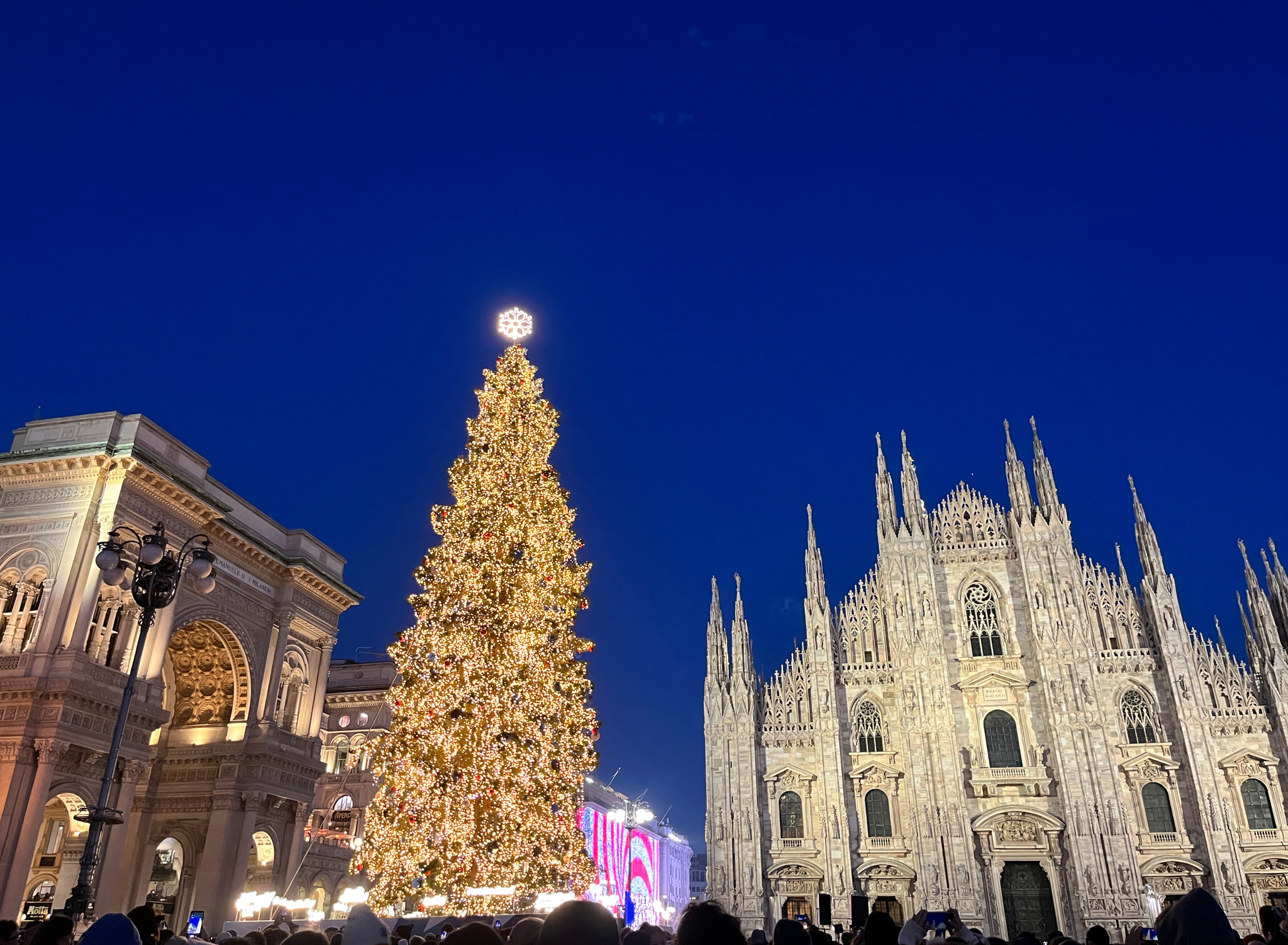ミラノ大聖堂とクリスマスツリー