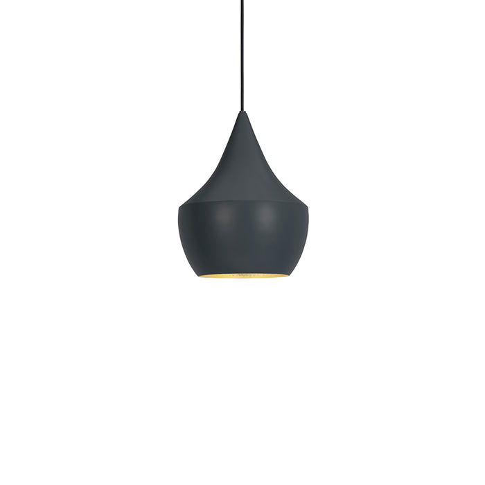 Tom Dixon / BEAT FAT PENDANT LED