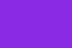 Purple - Zesta Neon