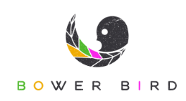 BowerBirdNZ