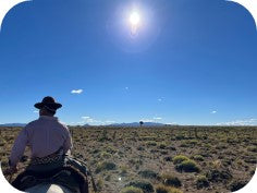 Argentinian cowboy (Gaucho) riding a horse across the plains, the mountains in the distance
